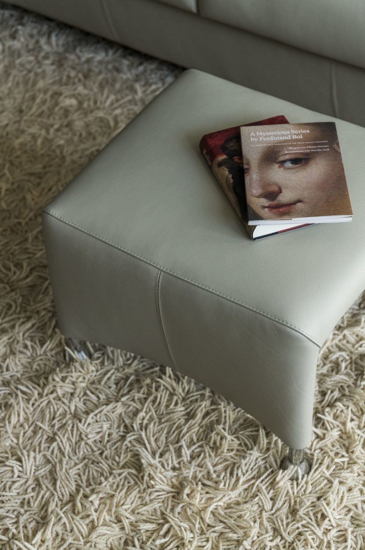 Évidence Paian 2018 A 074