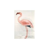IXXI - Greater Flamingo