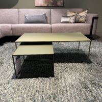 Ral Salontafel 98x50x36 cm.