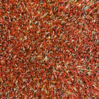 Millenerpoort - Karpet Bella Piccolo afmeting 200x300 cm