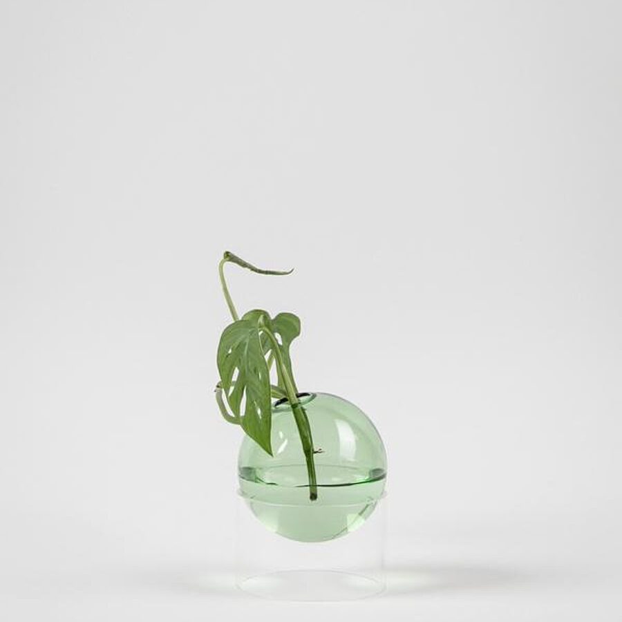 Studio About - Standing Flower Bubble - Low Tube - Green